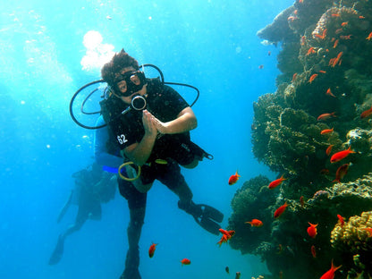 Sharm El Sheikh: Introduction to Scuba Diving