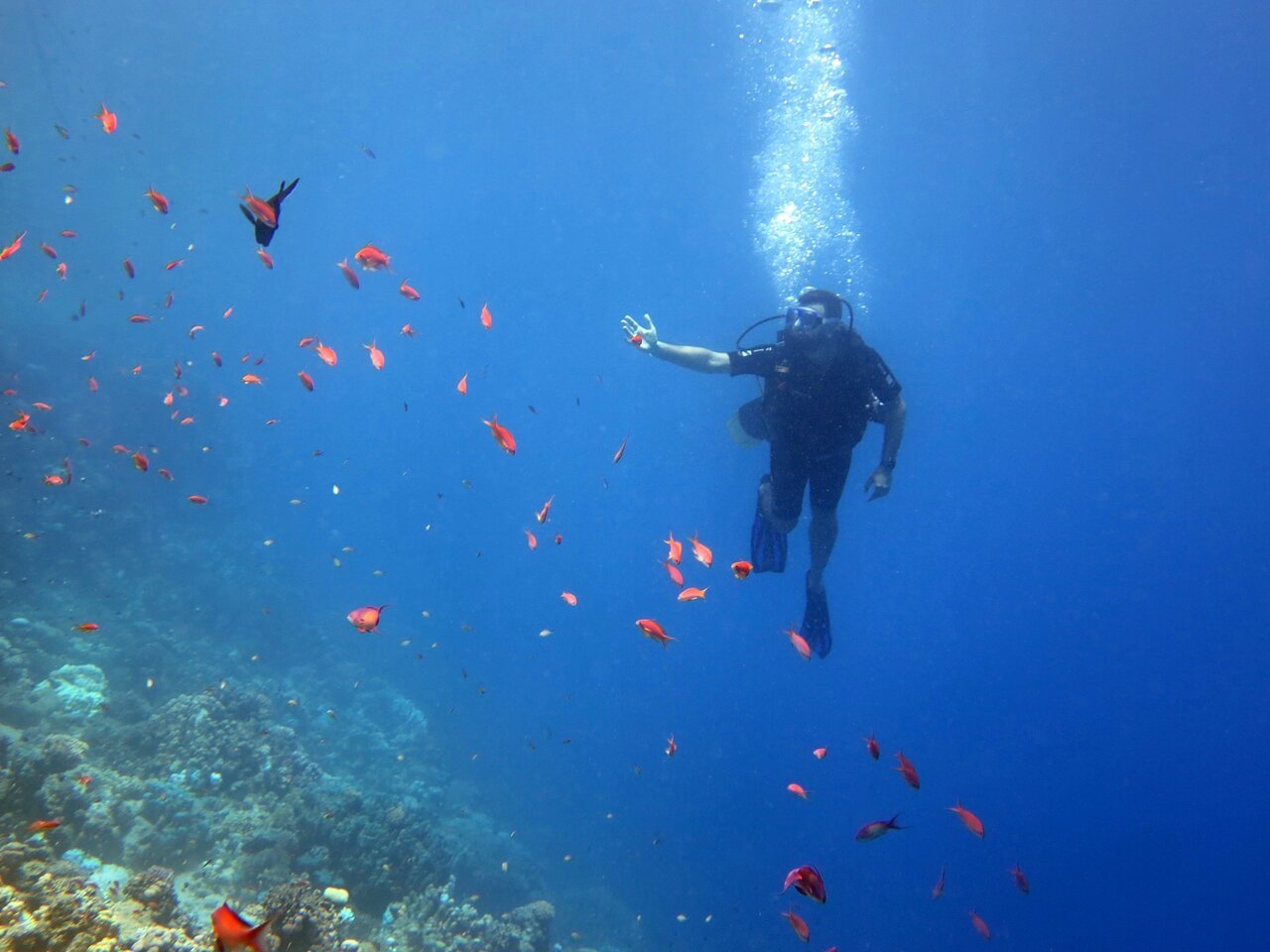 Sharm El Sheikh: Introduction to Scuba Diving