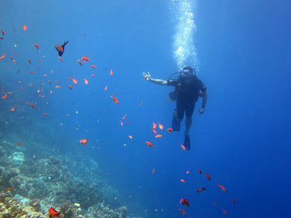 Sharm El Sheikh: Introduction to Scuba Diving