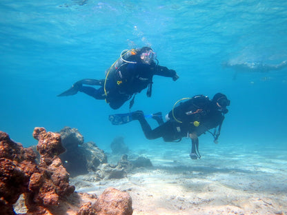 Sharm El Sheikh: Introduction to Scuba Diving
