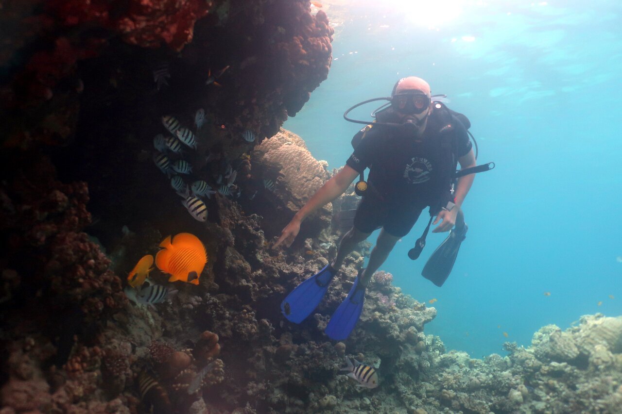 Sharm El Sheikh: Introduction to Scuba Diving