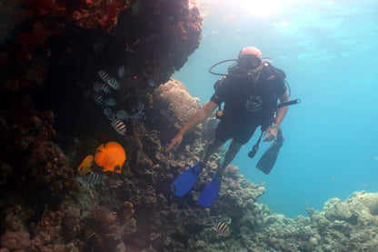 Sharm El Sheikh: Introduction to Scuba Diving