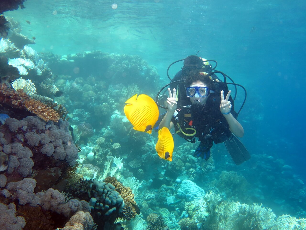 Sharm El Sheikh: Introduction to Scuba Diving