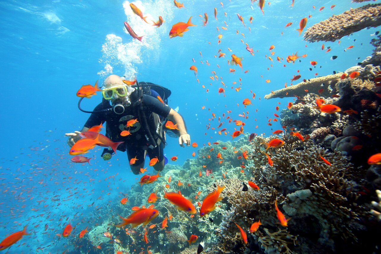 Sharm El Sheikh: Introduction to Scuba Diving