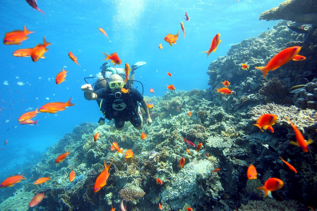 Sharm El Sheikh: Introduction to Scuba Diving