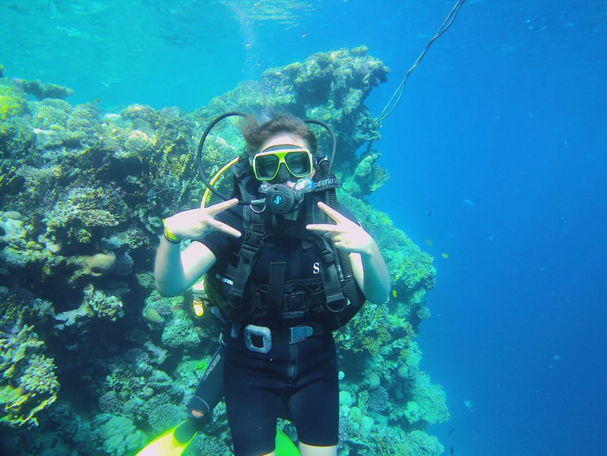 Sharm El Sheikh: Gita in Barca per Immersioni a Ras Mohamed e White Island