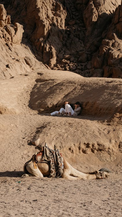 Sharm El Sheikh: Mount Sinai and Saint Catherine Monastery Visit
