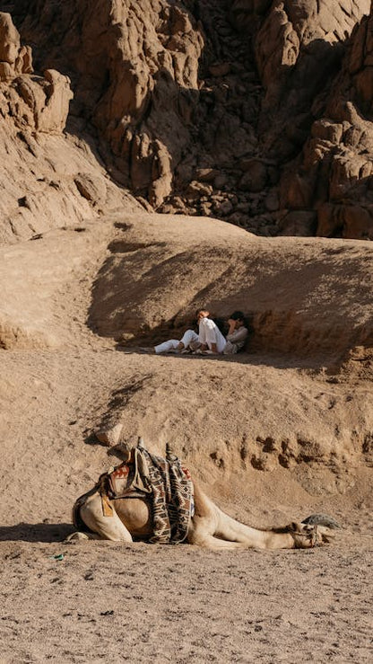 Sharm El Sheikh: Mount Sinai and Saint Catherine Monastery Visit