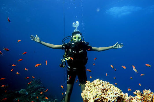 Sharm El Sheikh: Night Dive at Amphora Reef for Certified Divers