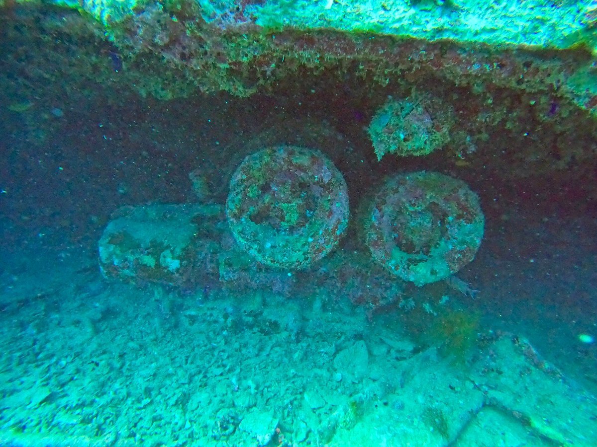 Sharm El Sheikh: Night Dive at Amphora Reef for Certified Divers