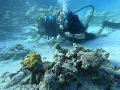 Sharm El Sheikh: Open Water Diver Course