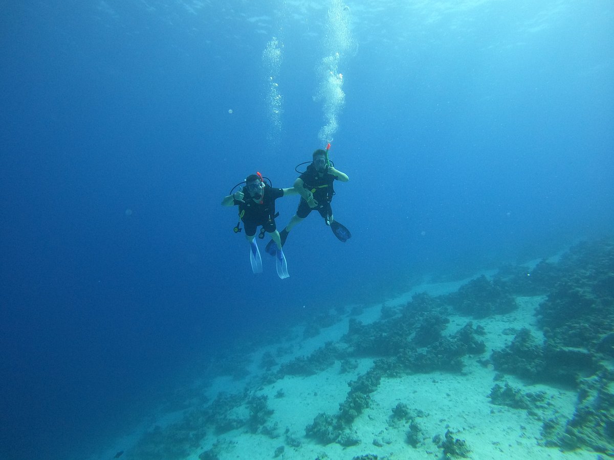 Sharm El Sheikh: Open Water Diver Course