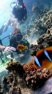 Sharm El Sheikh: Open Water Diver Course