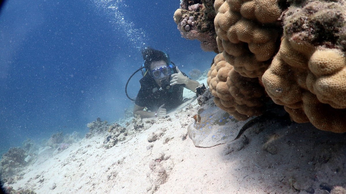 Sharm El Sheikh: Open Water Diver Course