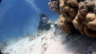 Sharm El Sheikh: Open Water Diver Course