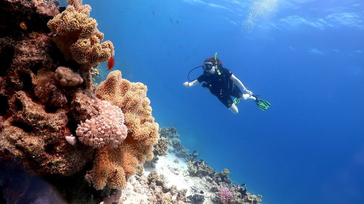 Sharm El Sheikh: Open Water Diver Course