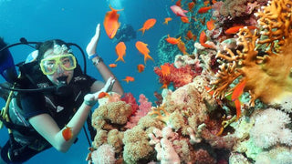 Sharm El Sheikh: Open Water Diver Course