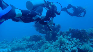 Sharm El Sheikh: Open Water Diver Course