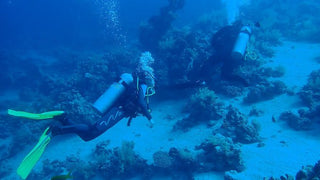 Sharm El Sheikh: Open Water Diver Course