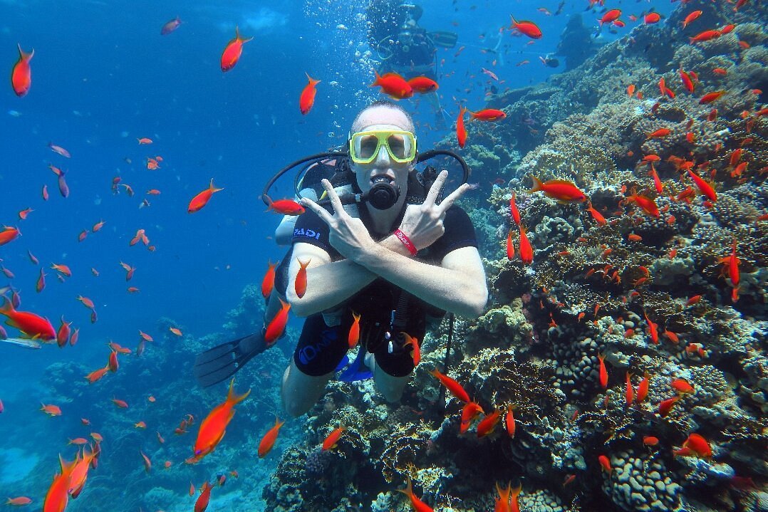 Sharm El Sheikh: Open Water Diver Course