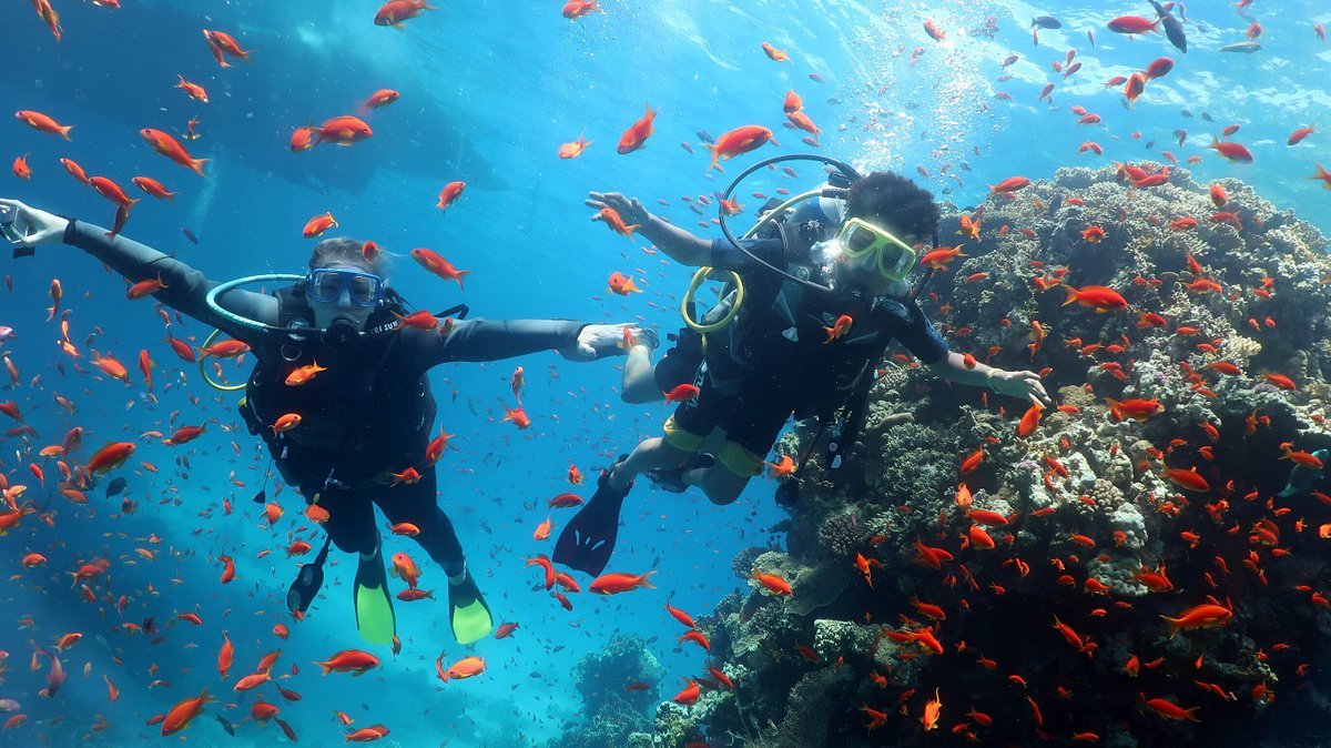 Sharm El Sheikh: Open Water Diver Course