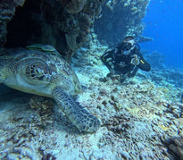 Sharm El Sheikh: Open Water Diver Course