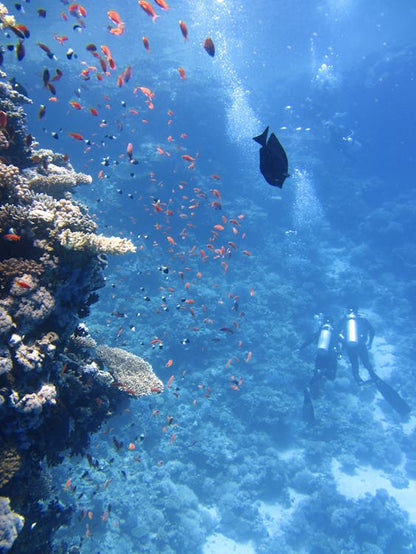 Sharm El Sheikh: PADI Advanced Open Water Diver Course
