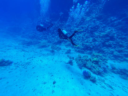 Sharm El Sheikh: PADI Advanced Open Water Diver Course