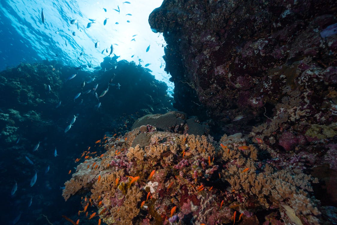 Sharm El Sheikh: PADI Advanced Open Water Diver Course