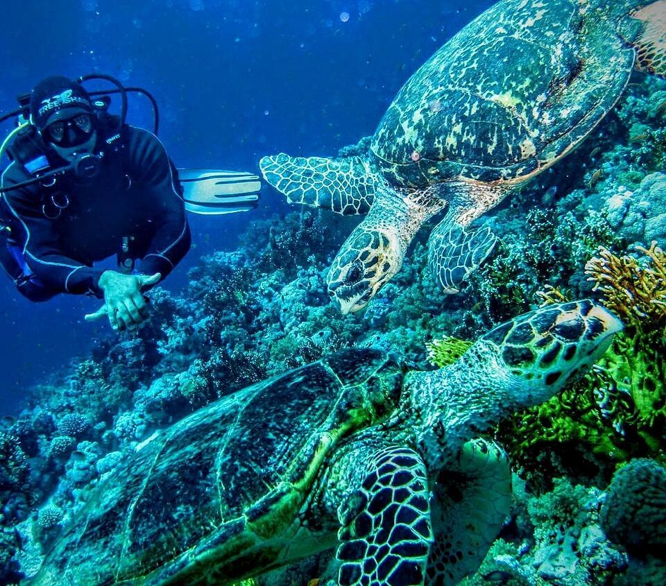 Sharm El Sheikh: PADI Discover Scuba Diving