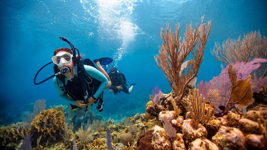 Sharm El Sheikh: PADI Open Water Diver Course