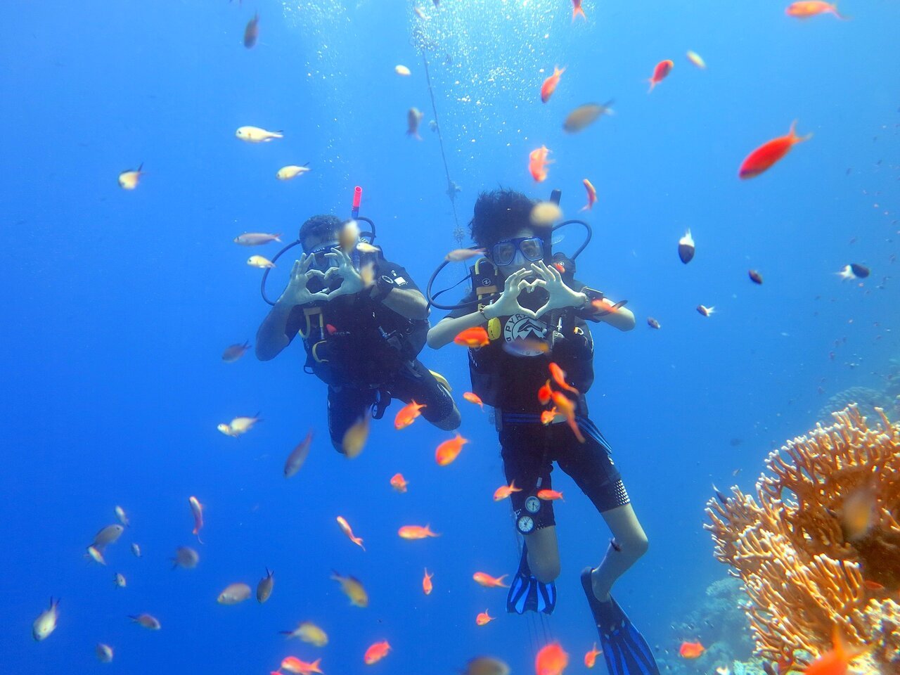 Sharm El Sheikh: PADI Open Water Diver Course