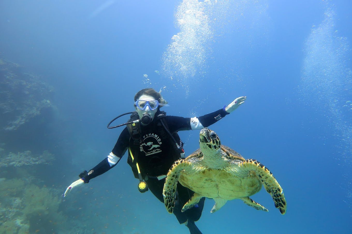 Sharm El Sheikh: PADI Open Water Diver Course