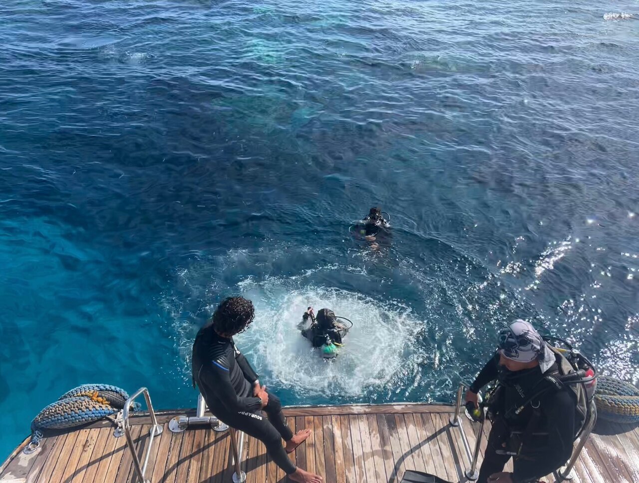 Sharm El Sheikh: PADI Open Water Diver Course