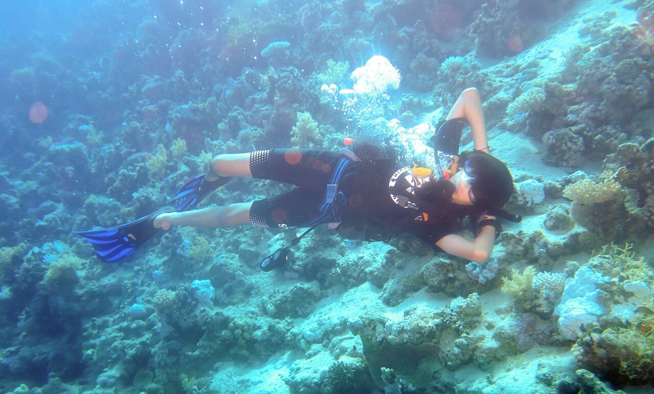 Sharm El Sheikh: PADI Open Water Diver Course