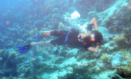 Sharm El Sheikh: PADI Open Water Diver Course