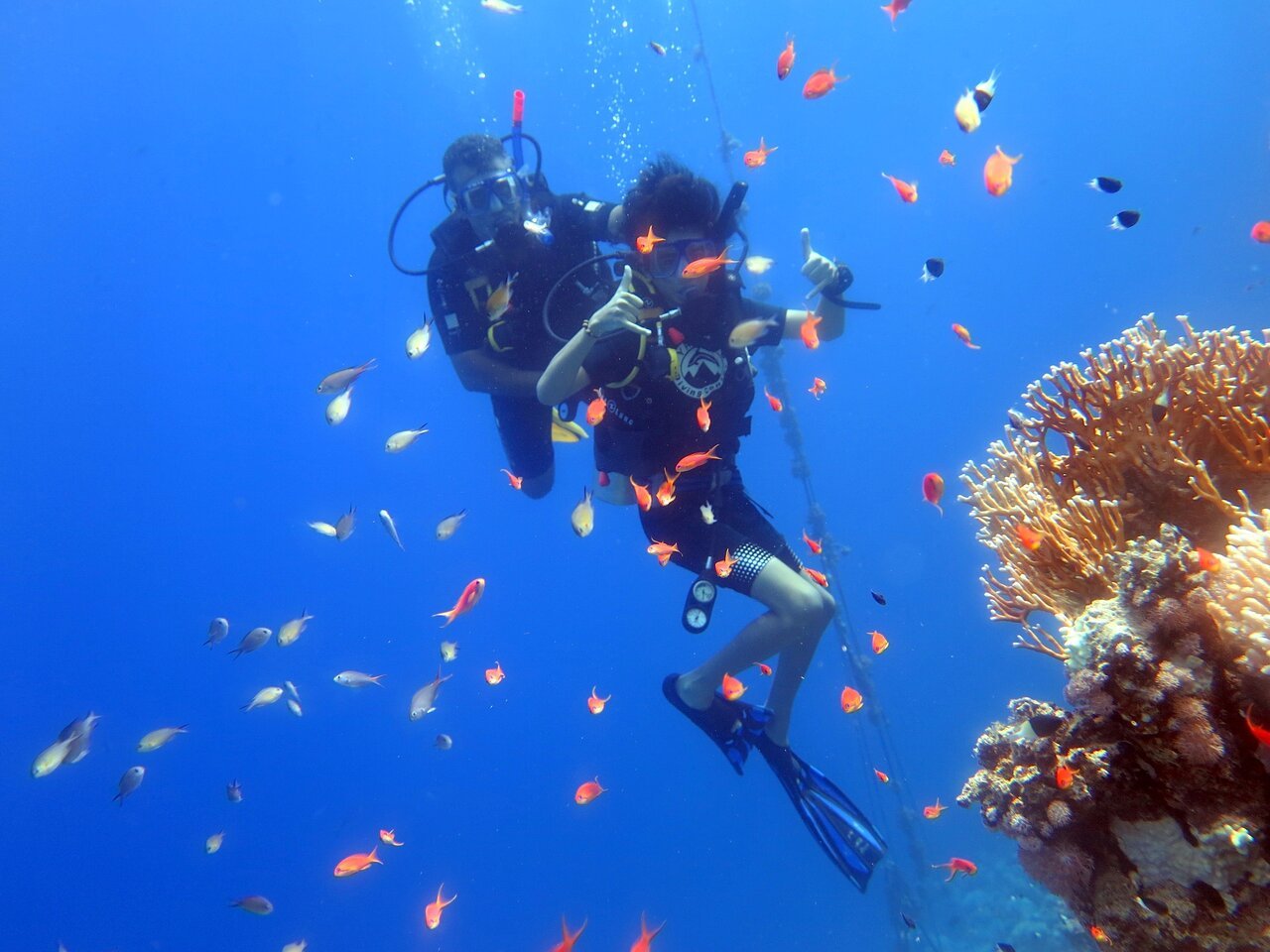 Sharm El Sheikh: PADI Open Water Diver Course