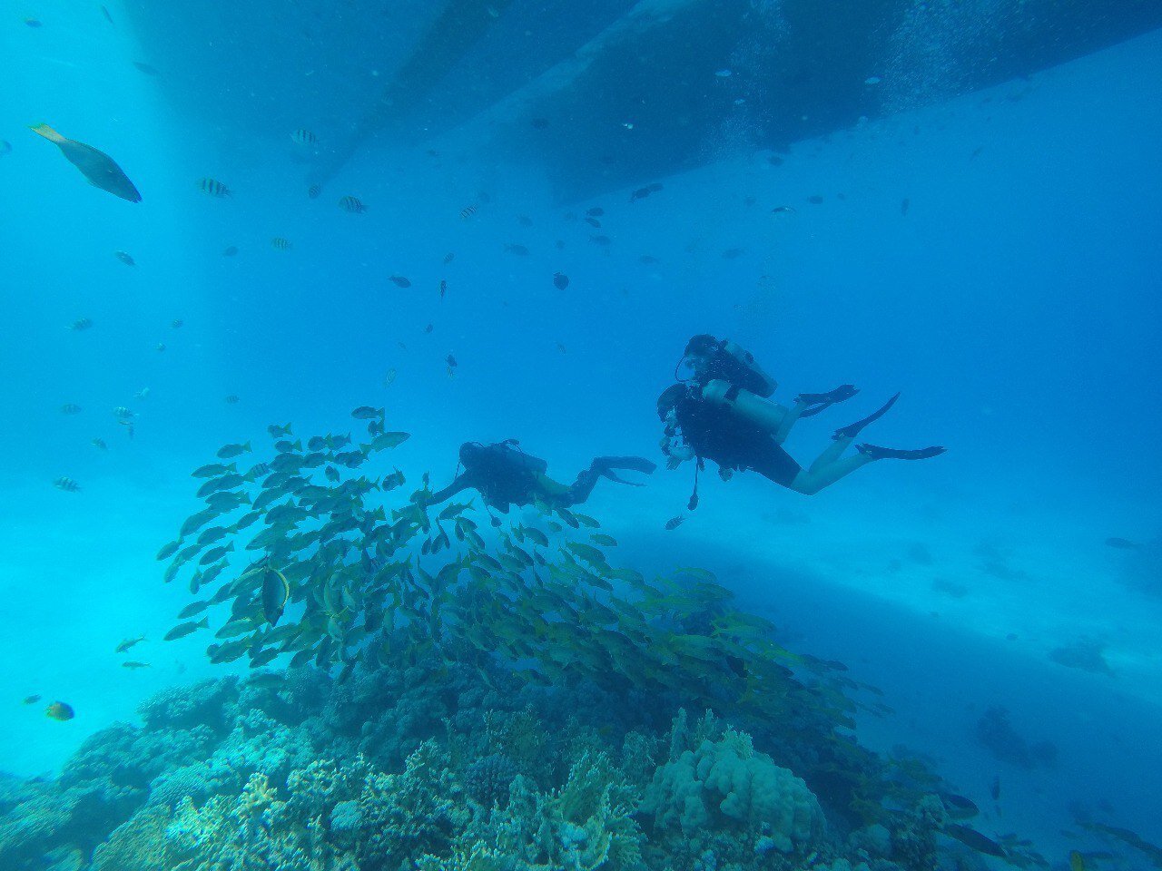 Sharm El Sheikh: PADI Open Water Diver Course