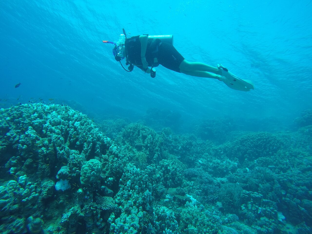 Sharm El Sheikh: PADI Open Water Diver Course