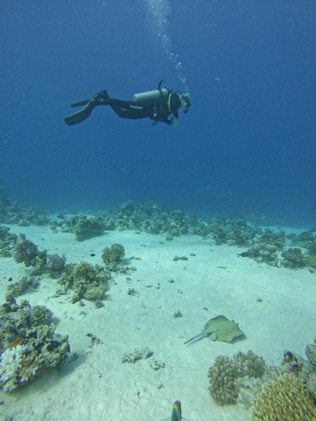 Sharm El Sheikh: PADI Open Water Diver Course