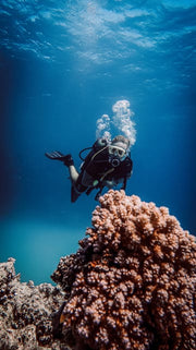 Sharm El Sheikh: PADI ReActivate Scuba Review