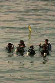Sharm El Sheikh: PADI ReActivate Scuba Review