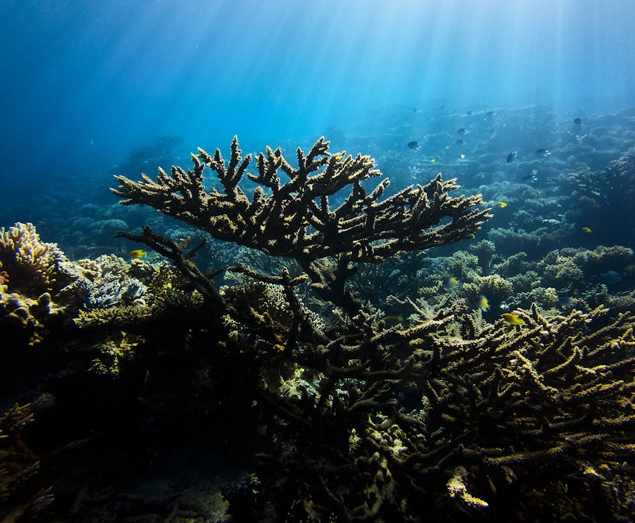 Sharm El Sheikh: PADI ReActivate Scuba Review