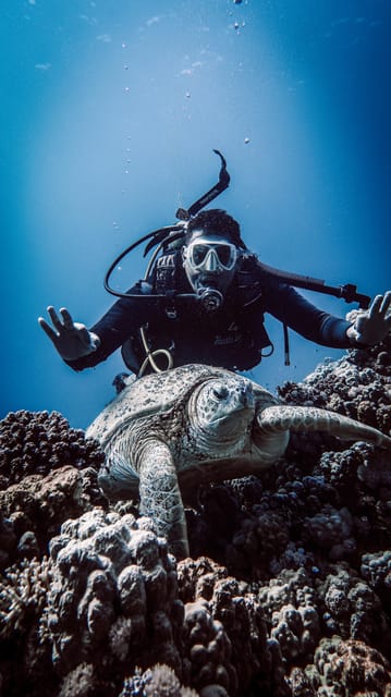 Sharm El Sheikh: PADI ReActivate Scuba Review