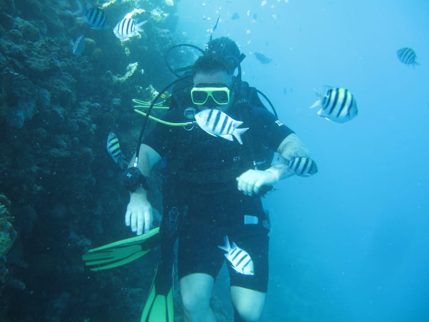 Sharm El Sheikh: PADI ReActivate Scuba Review