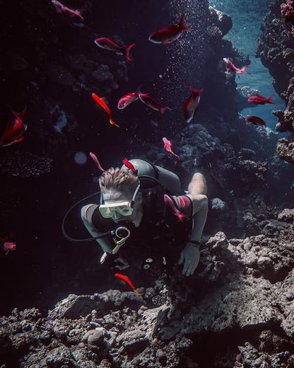 Sharm El Sheikh: PADI ReActivate Scuba Review