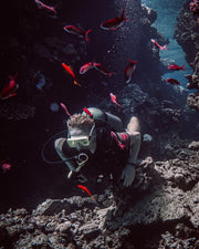 Sharm El Sheikh: PADI ReActivate Scuba Review