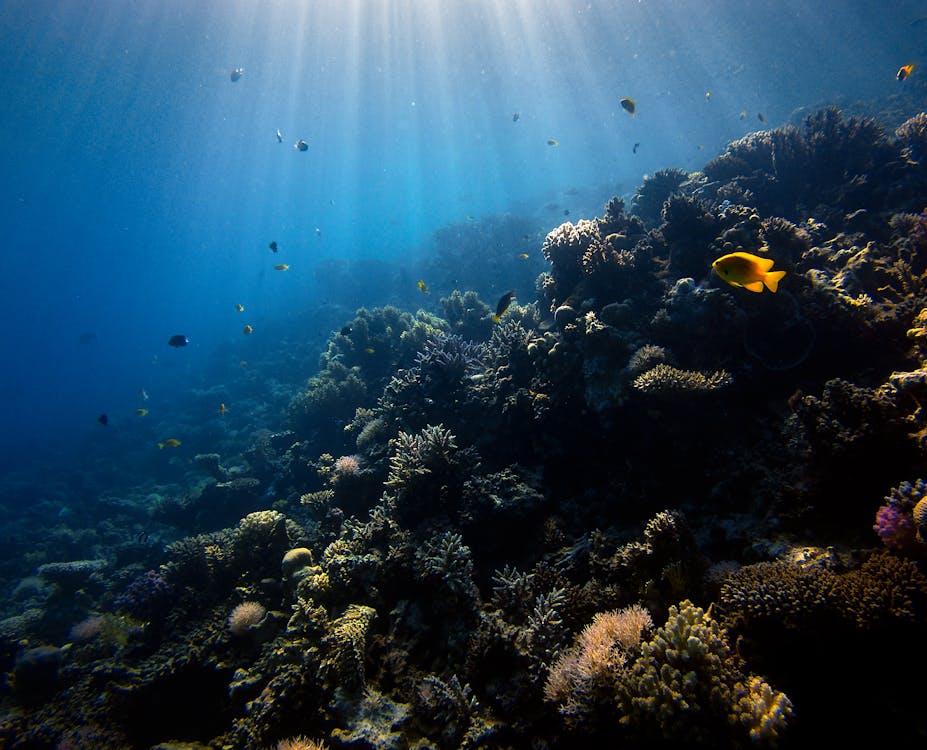 Sharm El Sheikh: PADI ReActivate Scuba Review
