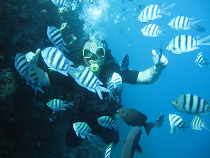Sharm El Sheikh: PADI ReActivate Scuba Review