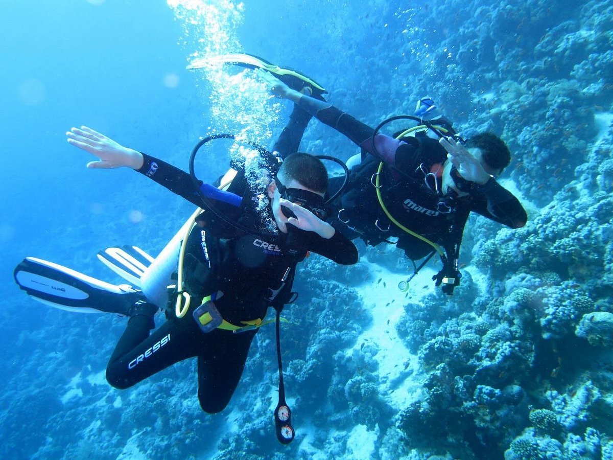 Sharm El Sheikh: PADI Scuba Diver Course